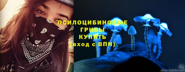 дживик Зерноград