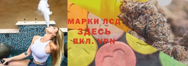 ПСИЛОЦИБИНОВЫЕ ГРИБЫ Инта