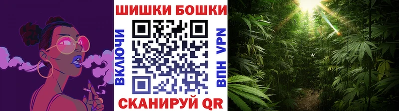 Шишки марихуана план  Купить закладки  Горнозаводск 